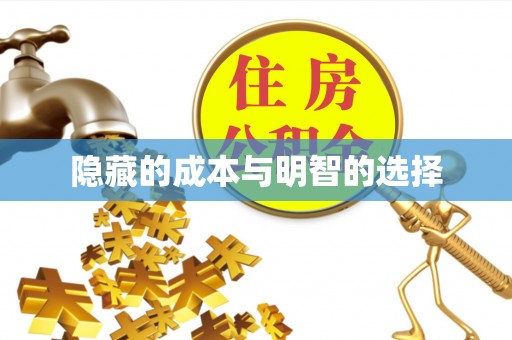 梁河隐藏的成本与明智的选择